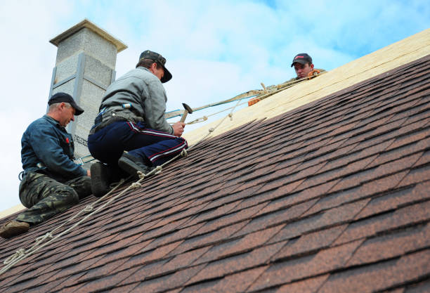 Best Metal Roofing Contractor  in Eureka, KS